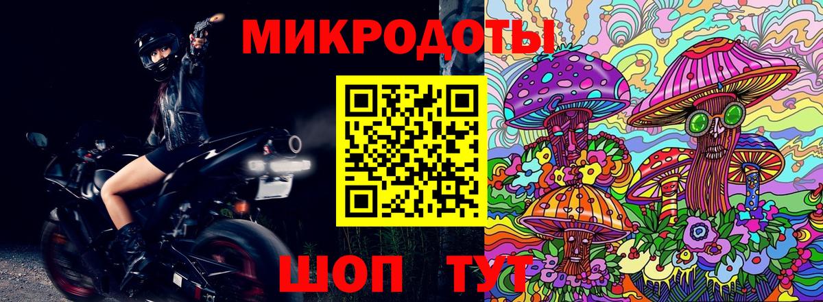 Псилоцибиновые грибы Psilocybe Волгодонск