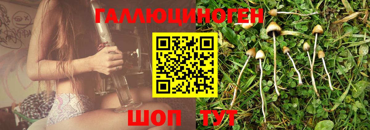 Псилоцибиновые грибы прущие грибы  Вход с VPN  Волгодонск 